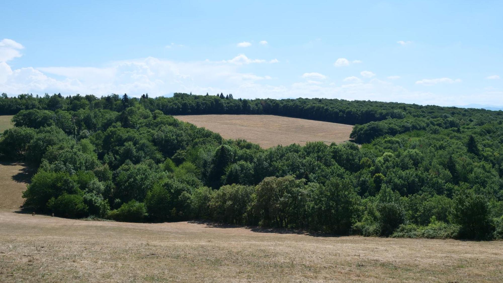 Maison Avec Vue Sur Le Lac De Montbel Exteriér fotografie