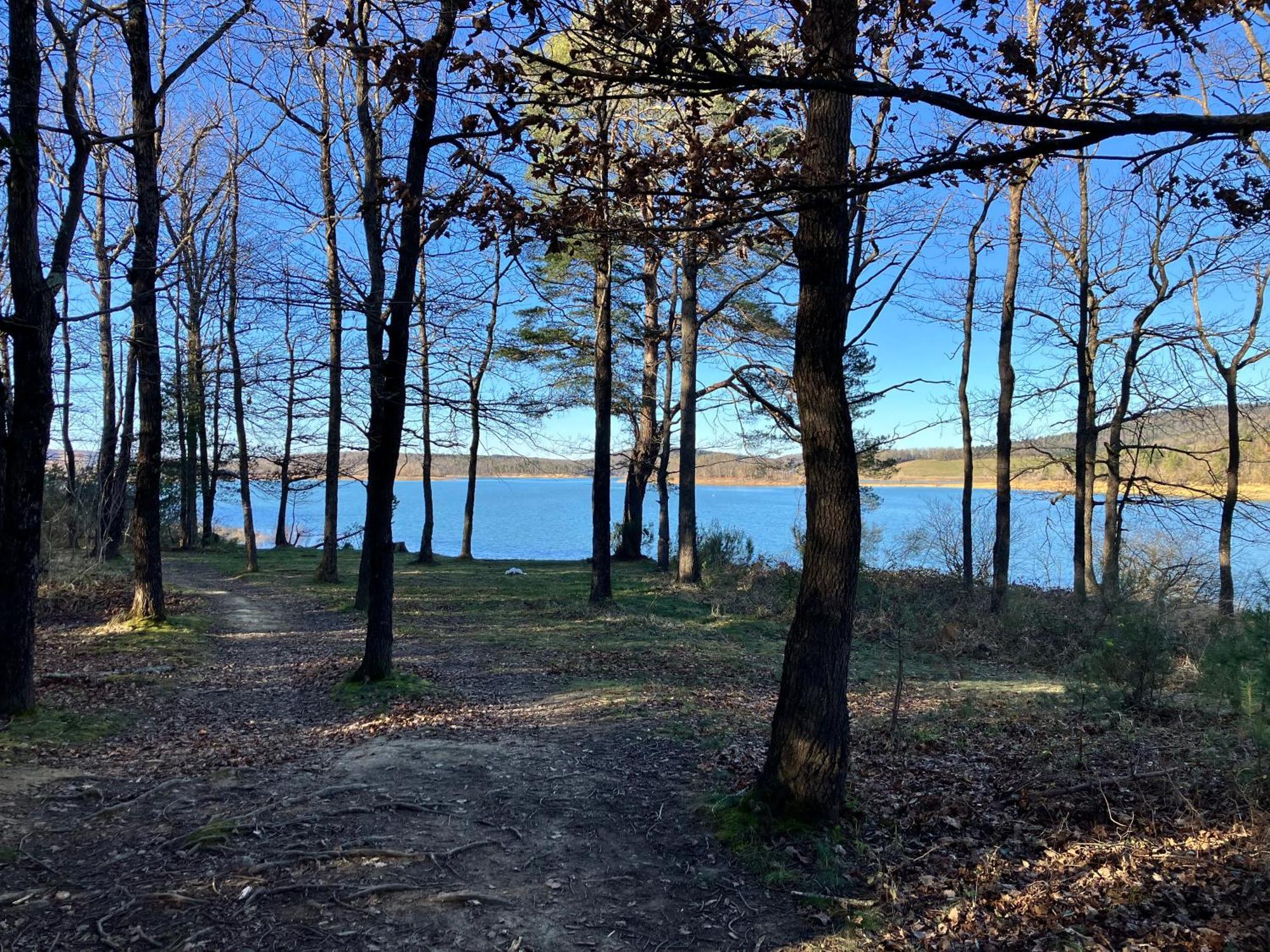 Maison Avec Vue Sur Le Lac De Montbel Exteriér fotografie